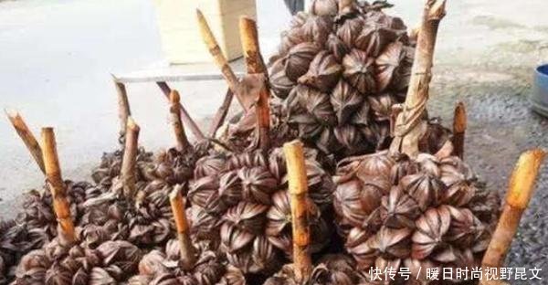 越南水果泛滥成“灾”，中国游客去了却哄抢，当地人我们都不吃