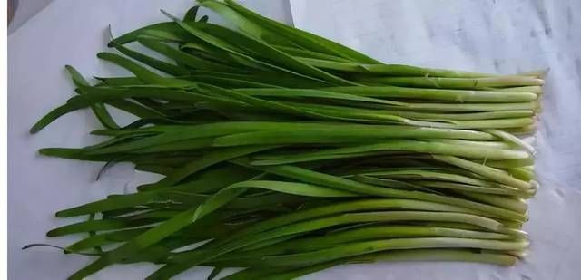 「丁香油」不用买!这几种钓鱼小药你家里就有(附配方)