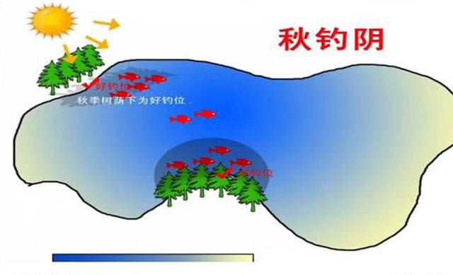  『屁股』为什么老钓手常说“屁股决定渔获”附图说明