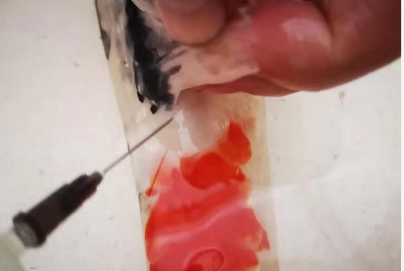  观赏鱼@观赏鱼注射治疗该如何进行，哪些时候会用到？观赏鱼注射治疗详解