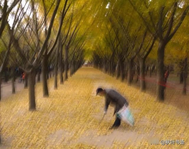 2019杏会邳州｜巩伟鸣邳州美景摄影作品欣赏
