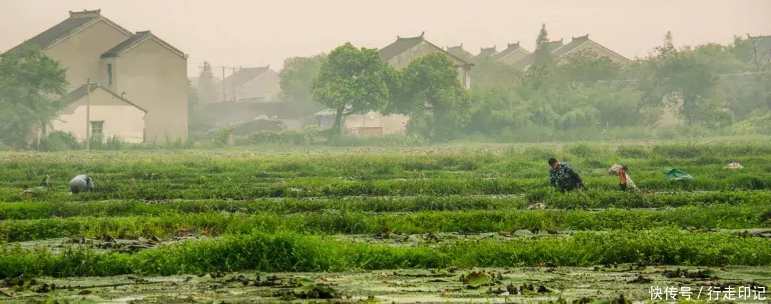 4000米高空跳伞是什么感觉？来甪直体验当“鸟人”的滋味