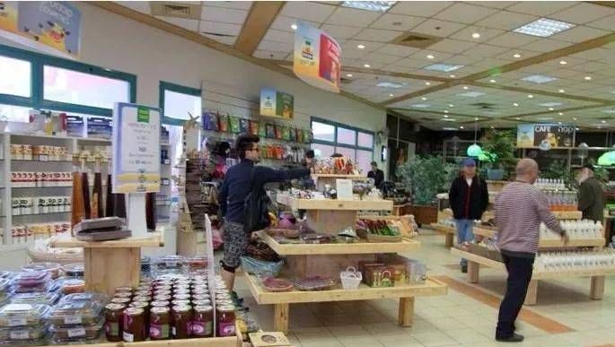  集体农场|这才是真正的“共享农庄”：除了老婆孩子，一切共享