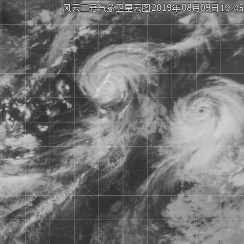 上海目前测得最大风力10级，降水未达暴雨标准；登陆行至上海附近