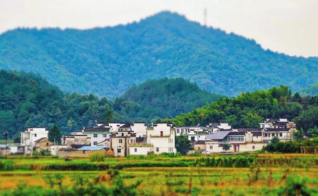 中国最美高铁，90分钟穿过57个国家级风景区，一站一景美哭了