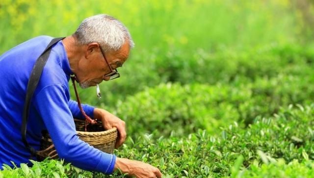  [看待]农村老人70岁还在干农活，如何看待这种情况？