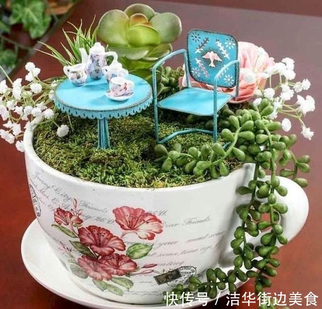  「花园」在家里种盆栽的新姿势，“茶杯花园”你见过吗？