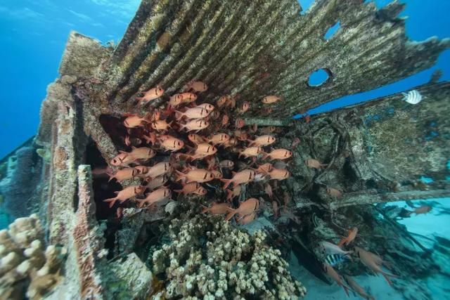 这个海岛马上大火，趁着便宜~你真的不来看一看吗?