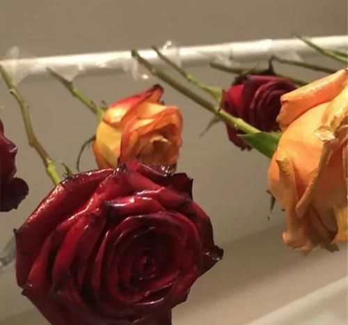  手工@DIY手工制作：用干花做的花艺作品，比鲜花还美！