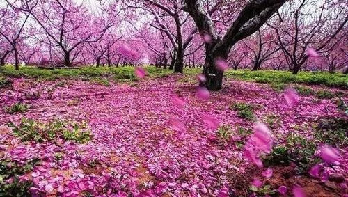 自然之神秘,万物之善意,天地之美好【2020热门旅游景点】