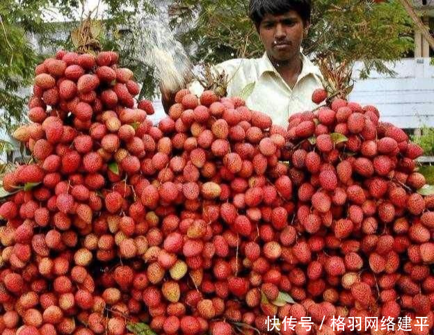  「碰壁」印度把“中国特产”带回去，想出口到其他国家，却四处