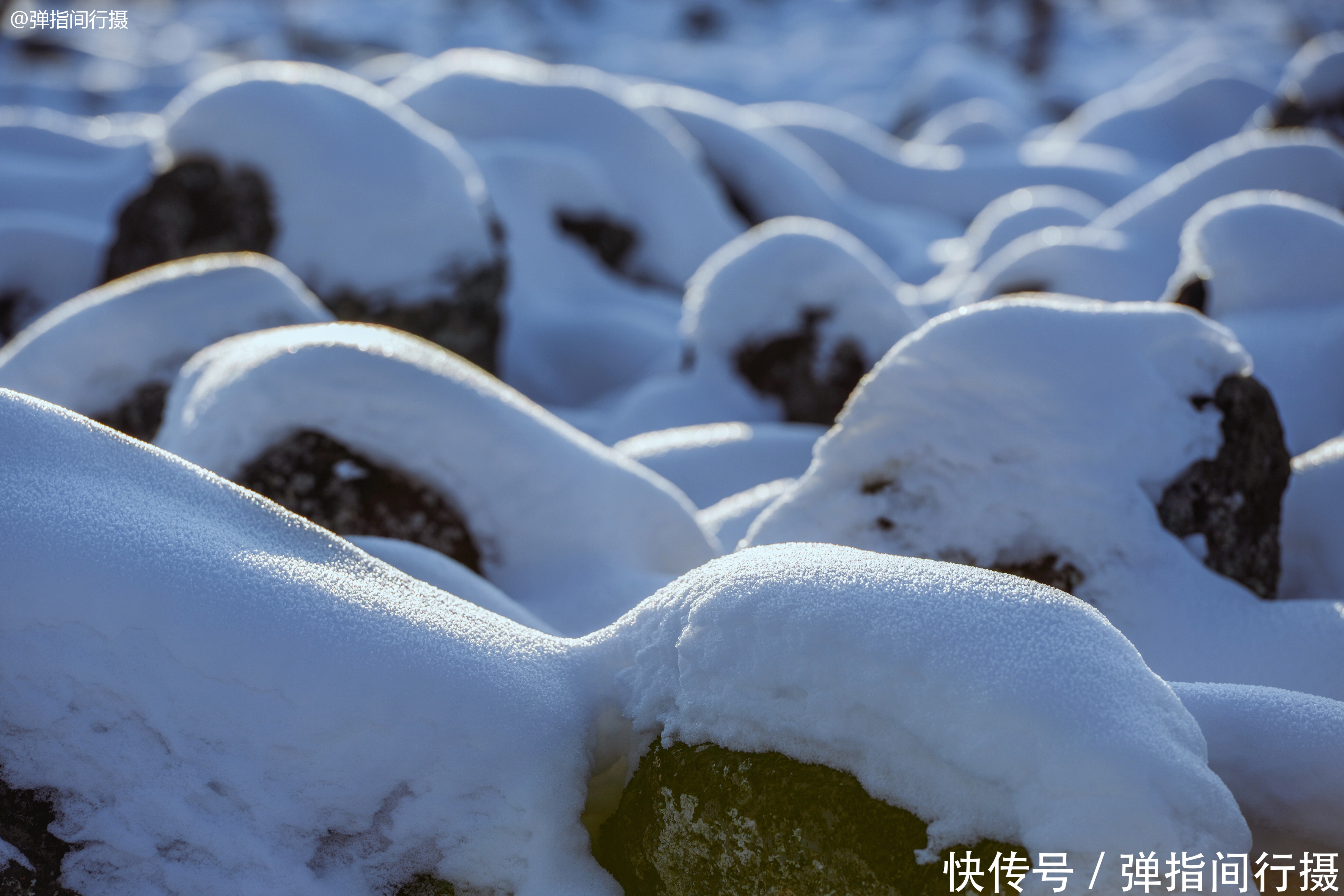 第一次在东北看到这种诡异雪景，你看像什么？南方游客：挺吓人