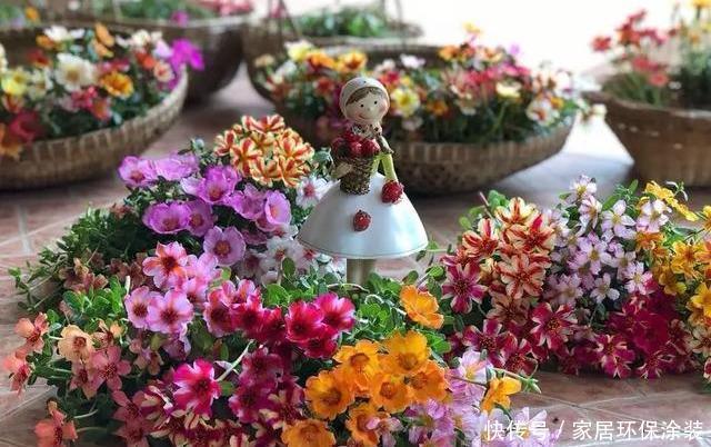 #品种#太阳花竟也有这么多品种,开成花海,也能成为惊世美景