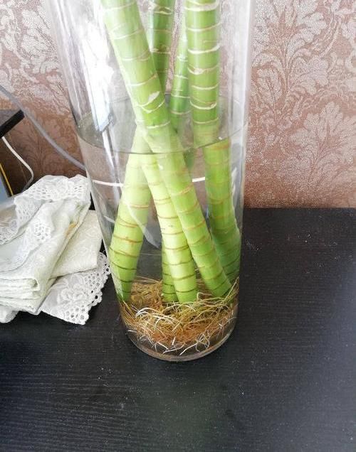  『水里』生活中的小药片，碾碎了丢在水里，用药片水浇花，不黄叶不烂根