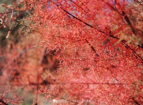 去武威,去戈壁和沙漠的边缘撒个欢