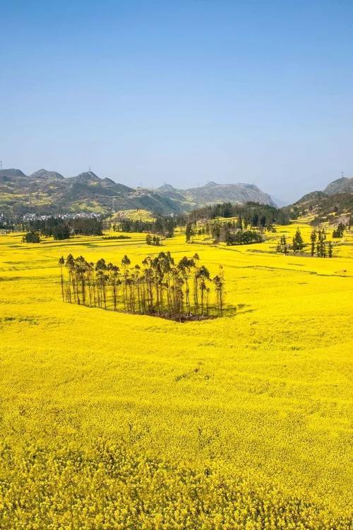 旅行达人必去的10个目的地,你去过几个?