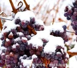 加拿大最宜居的4个地方，逃离城市，在这里治愈焦虑