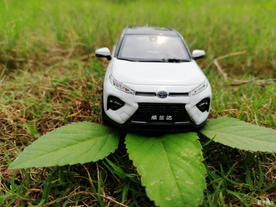 特别:十里春风,打卡滨江公园