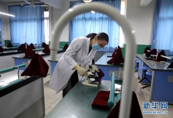  [四中学]石家庄：校园防疫演练迎复课