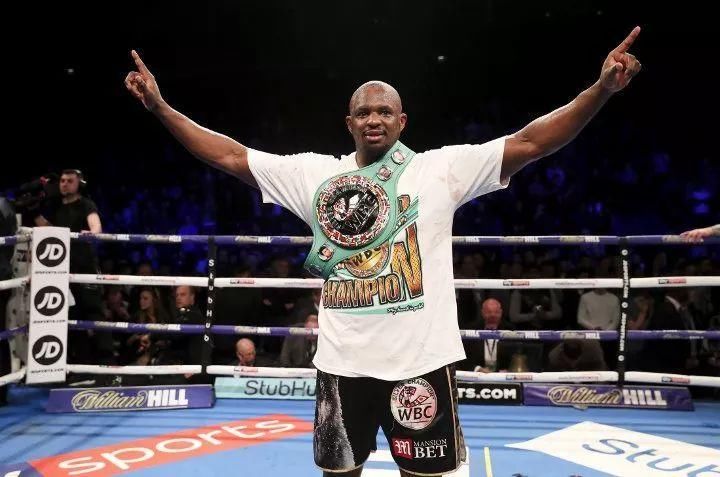 今晨,泰森接班人残暴KO,他才是维尔德的下一个