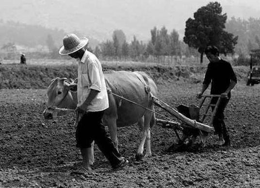 外国人拍摄的70年代中国老照片：想不到70年代的人们是这样子