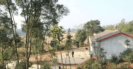 农村老话 屋后水门前坟, 家败人亡子不归, 真理!