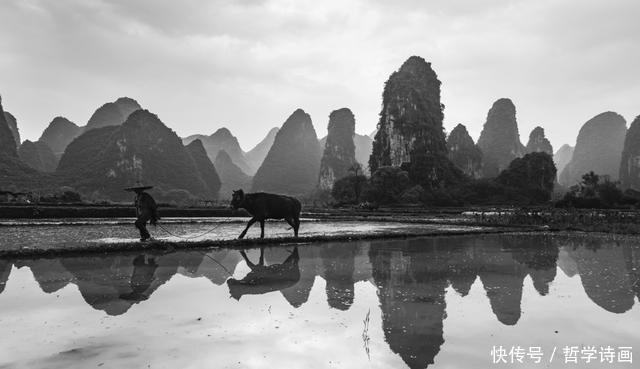 农村现状揭示：陶渊明式的田园生活没有了，有的只是劳累和贫瘠！