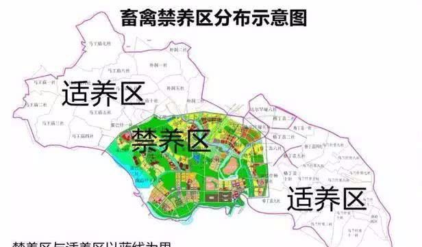 农村3类养殖户将严查，违规面临高额罚款！避免吃亏早准备