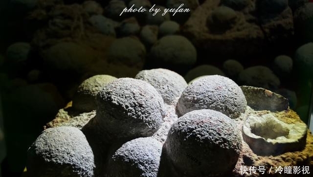  #恐龙蛋化石#世界上恐龙蛋最多的地方竟然就在广东，密密麻麻，