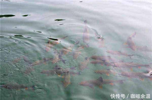 「钓鱼」老师傅找“鱼道”的方法,附图说明