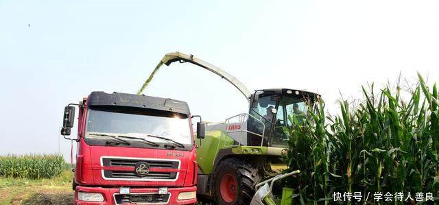 下半年补贴开始领，三类人拿到手软，另三类人想都别想