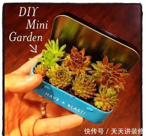  「竟然」小铁盒竟然这么多用法，脑洞开太大不好收啊