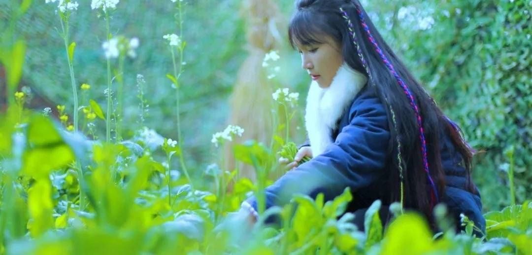  [蔬菜]如今90后的院子、阳台流行这样种菜，再也不羡慕李子柒啦...