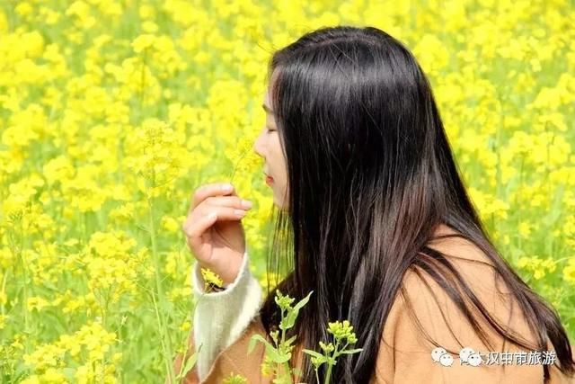 汉中青木川,油菜花已经开了!