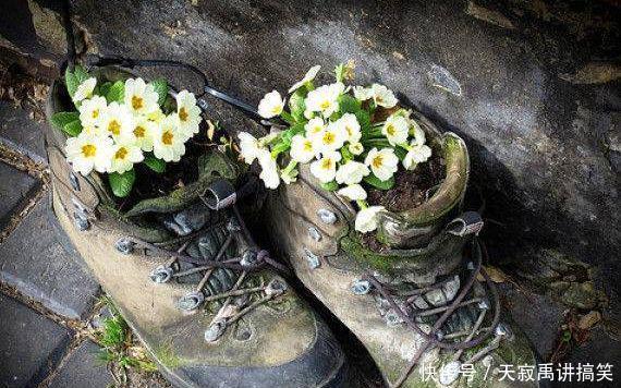 奇葩女子把旧牛仔裤变废为宝，种上一些花草，令人大开眼界