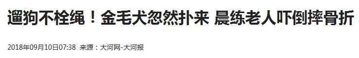 百万粉丝女网红遛狗不栓绳，还殴打8个月孕妇，真的好可怕!