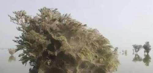 20张不可思议的照片，证明大自然无所不能！