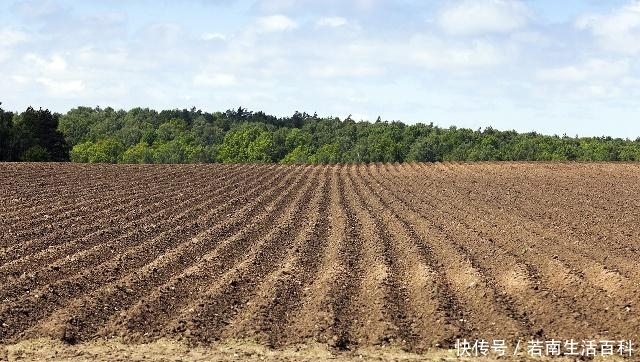  「收钱」土地确权过程中，农村承包地变多了，然而村里还是要找