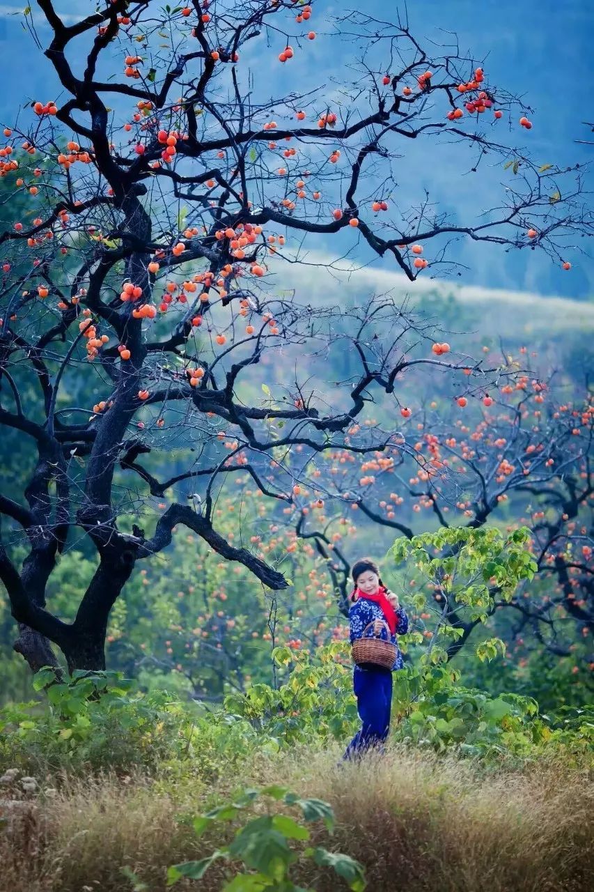 10个藏在深山人不知的古村落，却是世外桃源