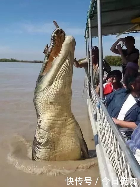 500年难得一见的顶级照片，让人叹为观止