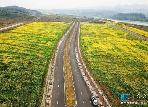  [风景]重磅规划首次亮相！重庆要为长江画上最美的风景眼