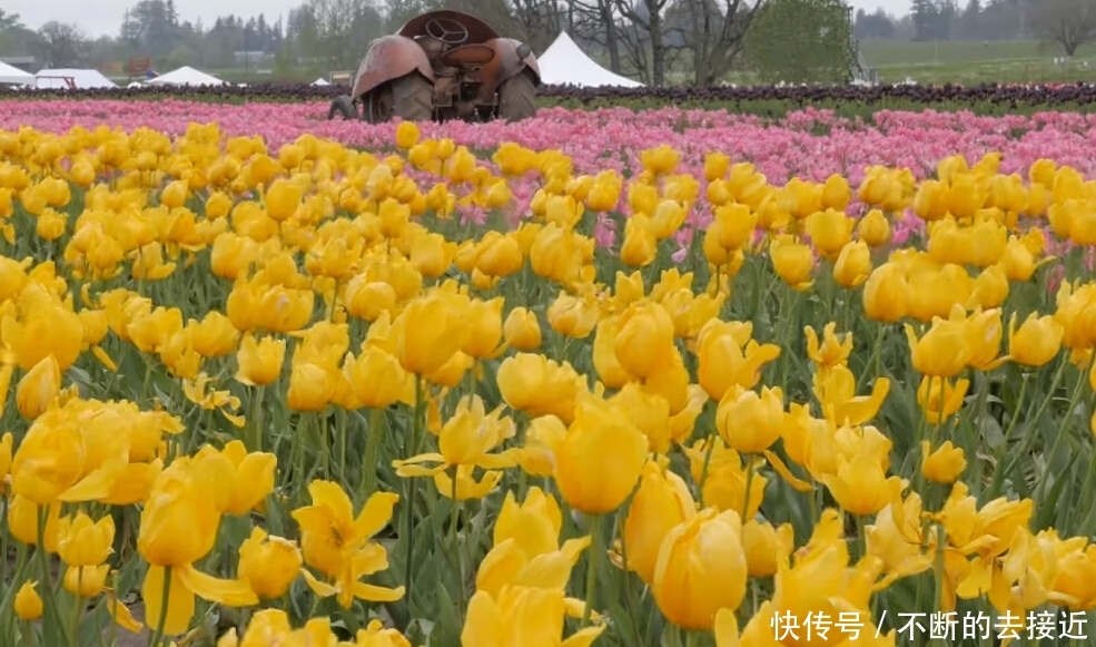 #身体#“他会不会讨厌我呢?”感到犹豫时,就让身体带出行动力