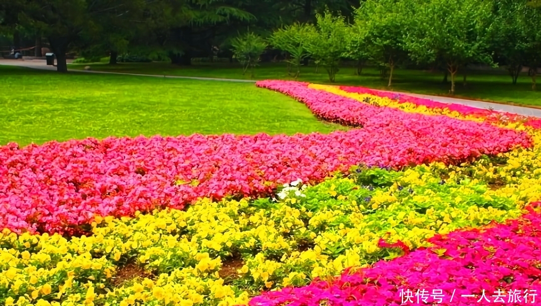 曾是广西最低调的城市，今成“中国绿都”，有望跻身新一线