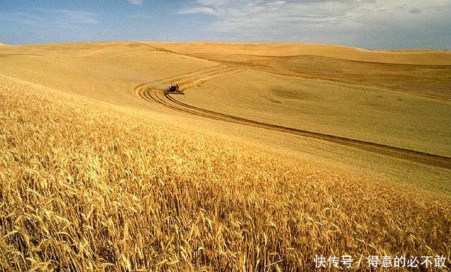 以前中国农民能挑300斤担子，现在年轻人50斤都难，我们在退化