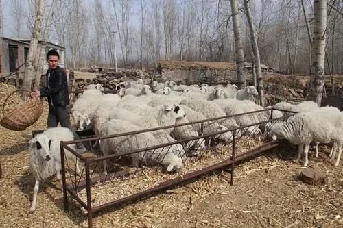  排污|好消息！农村3种养殖场将被严查，农民担心的污染问题，有