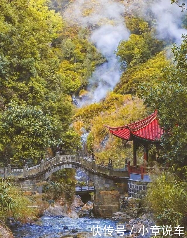 秋天的云南,哪个地方最美?这里的三千银杏,黄了整个世界