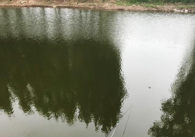  [钓鱼就容易]初学钓鱼，建议你学学这些，对提升渔获帮助很大