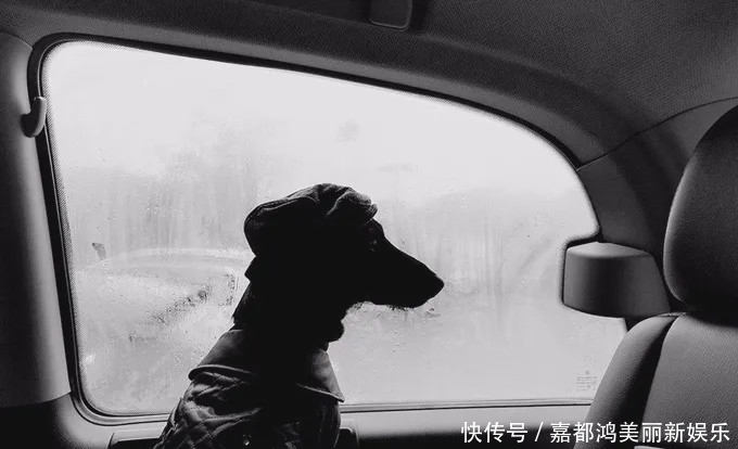  摄影师■对摄影师而言，摒弃色彩会让视觉效果更加纯粹