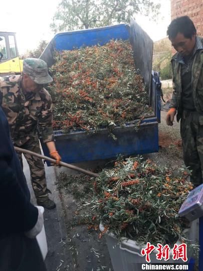 卖山货的山西农村经纪人:每个人都有田园梦