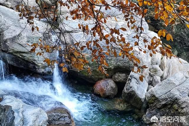 出门旅游拍照用手机还是相机？为什么？